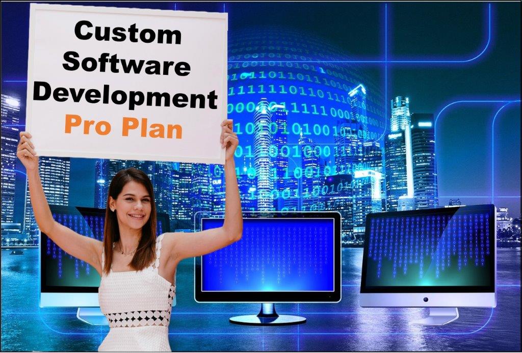 custom software development agency in Indianapolis Indiana