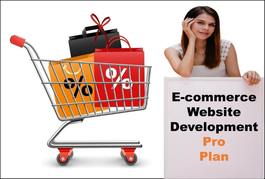 professional ecommerce website development agency in Indianapolis Indiana