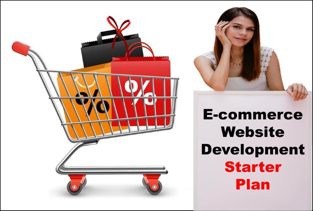ecommerce website development agency in Indianapolis Indiana