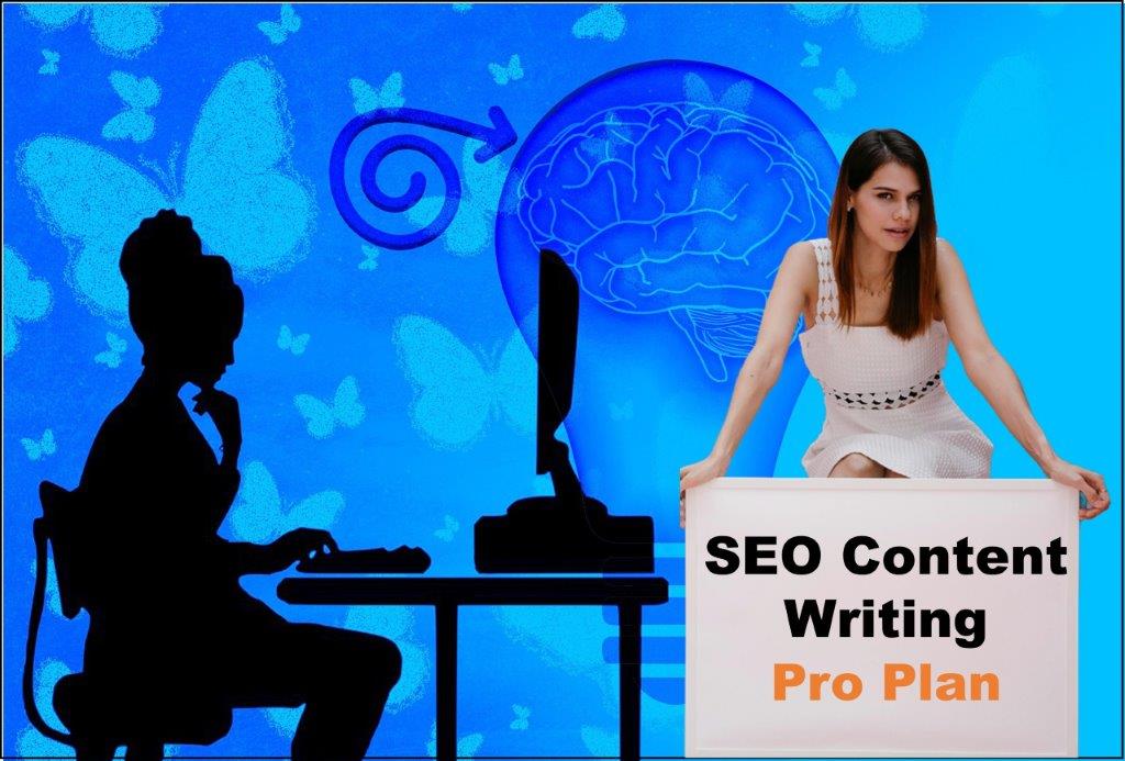 seo content writing agency Indianapolis Indiana