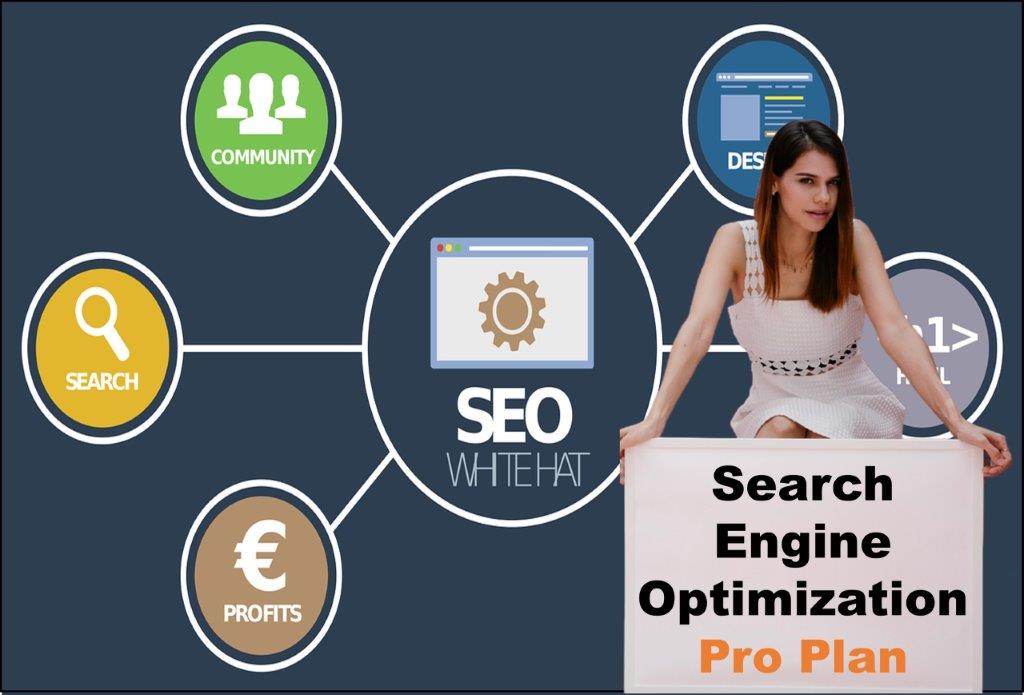 seo company Indianapolis Indiana