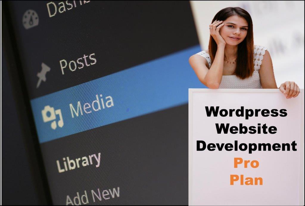 wordpress website designing in Indianapolis Indiana