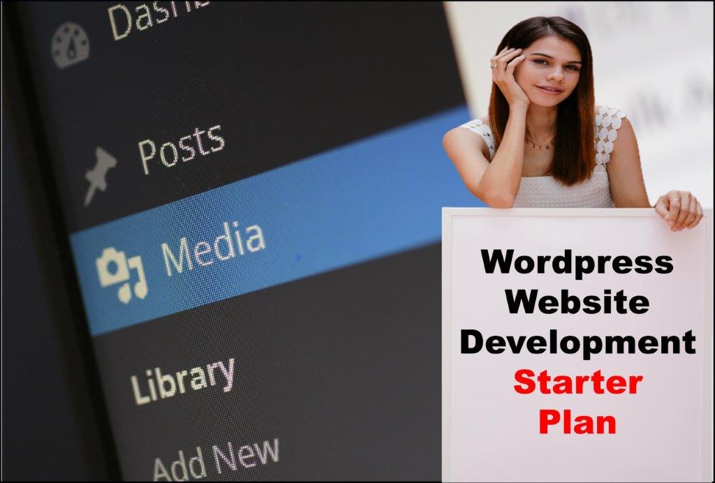 wordpress website development agency in Indianapolis Indiana